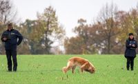 Leistungsprüfung Nov. 24 -160327_1